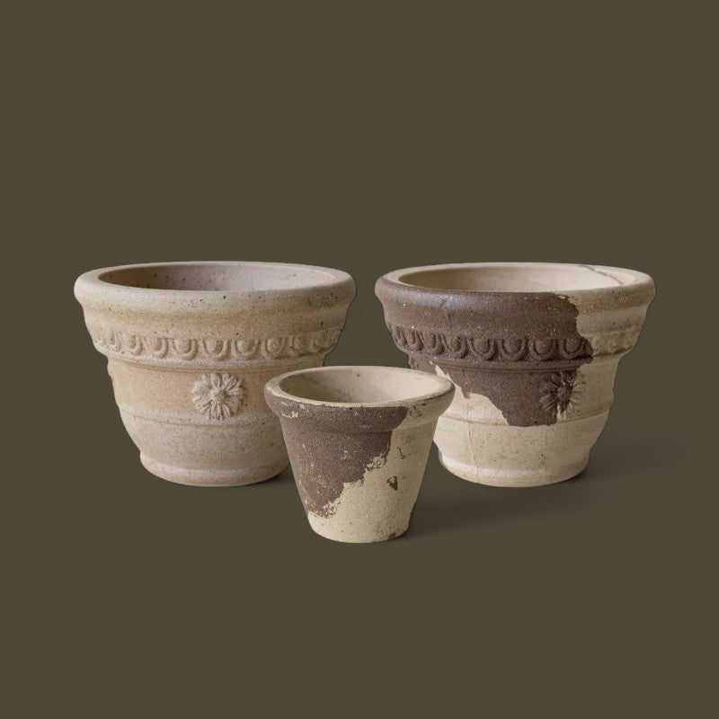 Nipots Customer Favorites Bundle / Mixed / Max Ø18cm / 3pcs