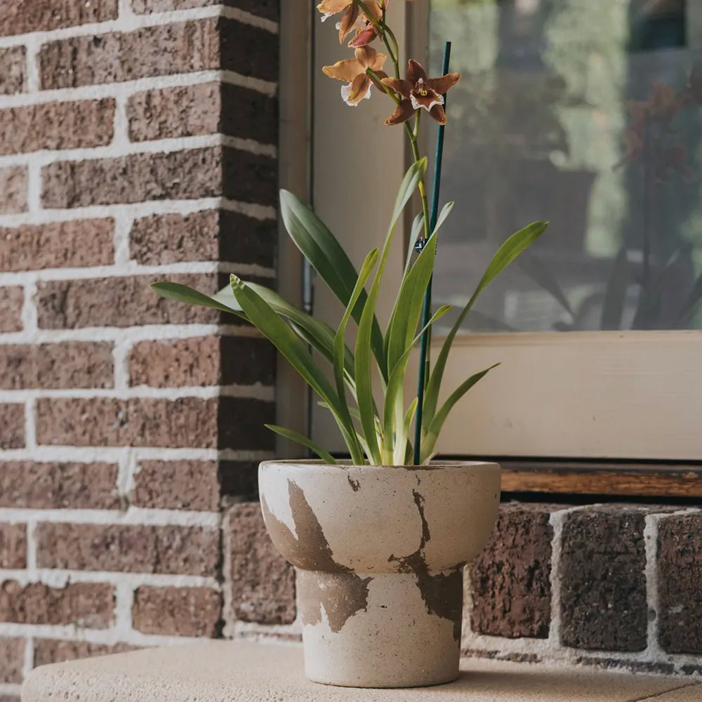 Nipots Terracotta Clay Pot Styled with Indoor Plants – Elegant Home Decor Inspiration