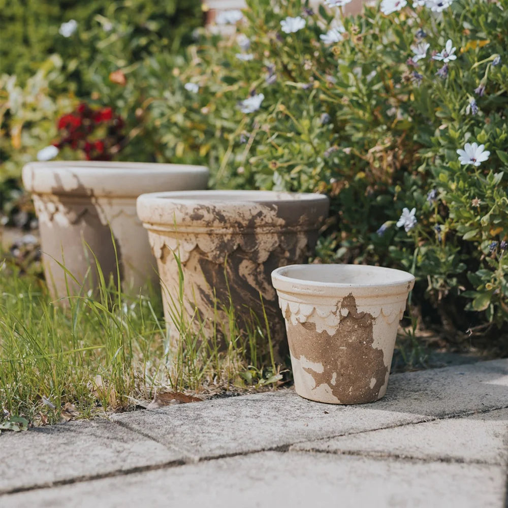 Castle Pot Coffee&Milk