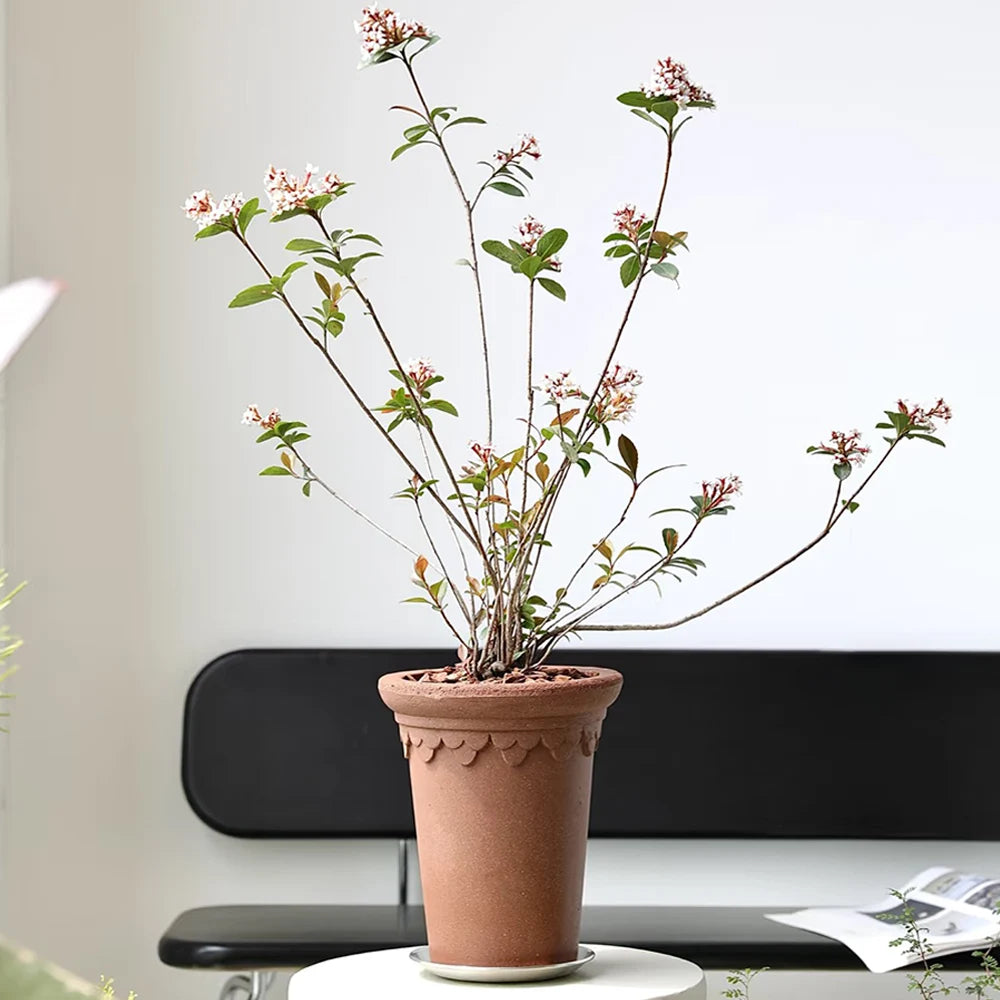 Castle Tower Pot Chocolate