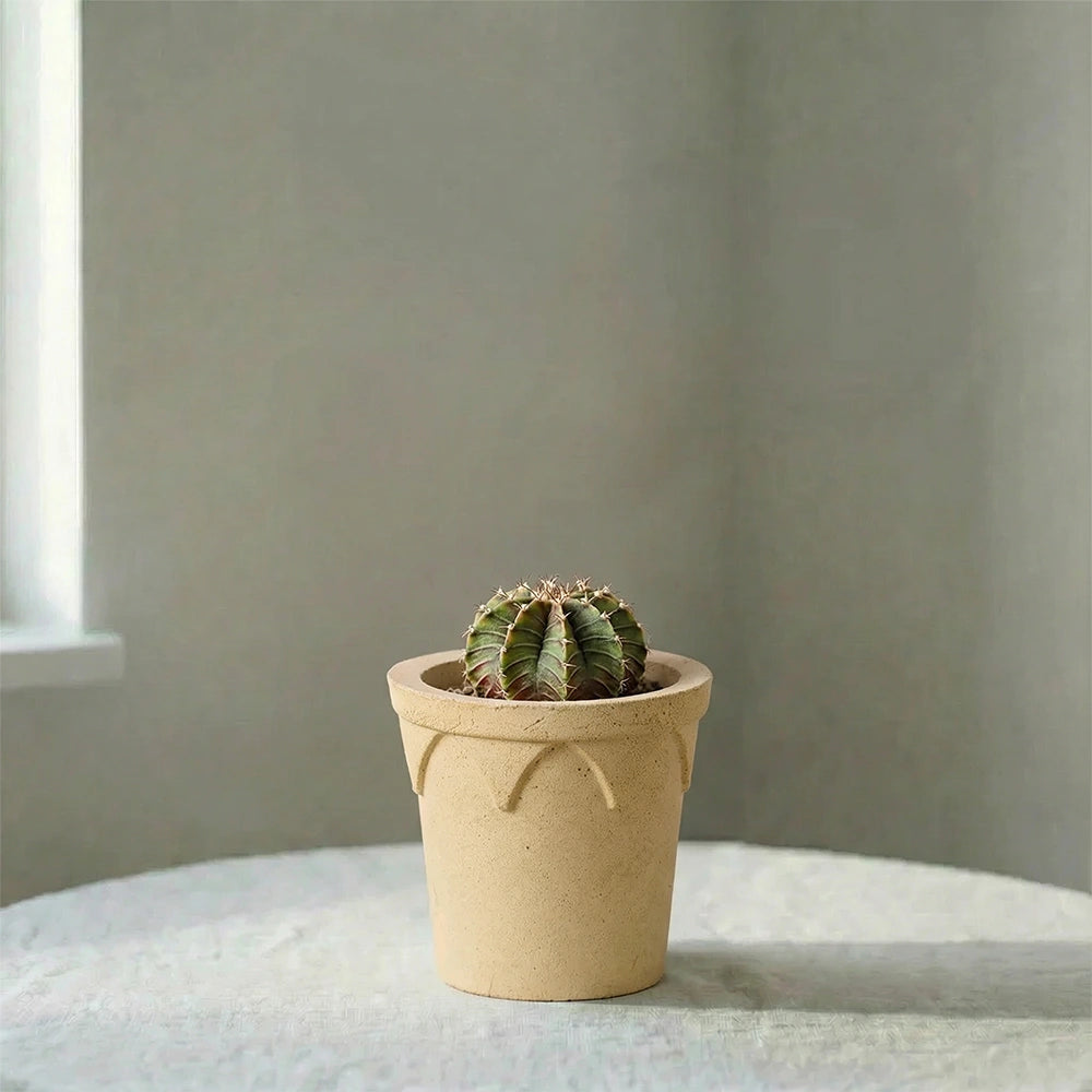 Crown Pot White