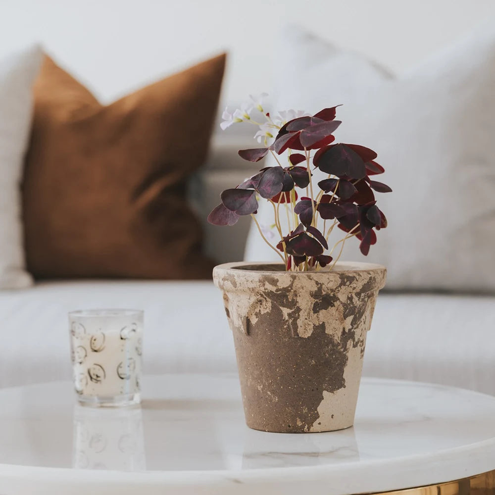 Crown Pot Coffee&Milk