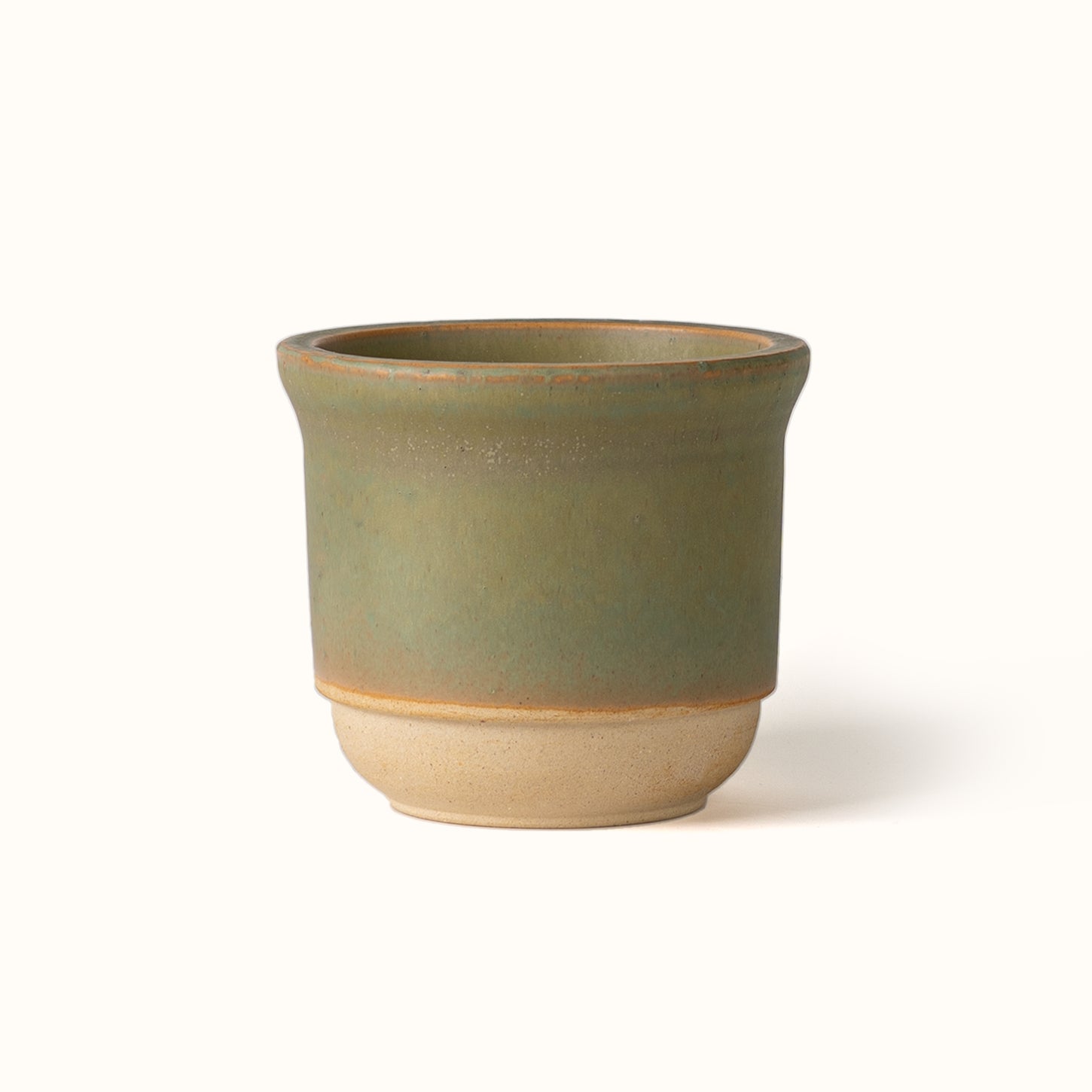 Hazelnut Pot Lichen