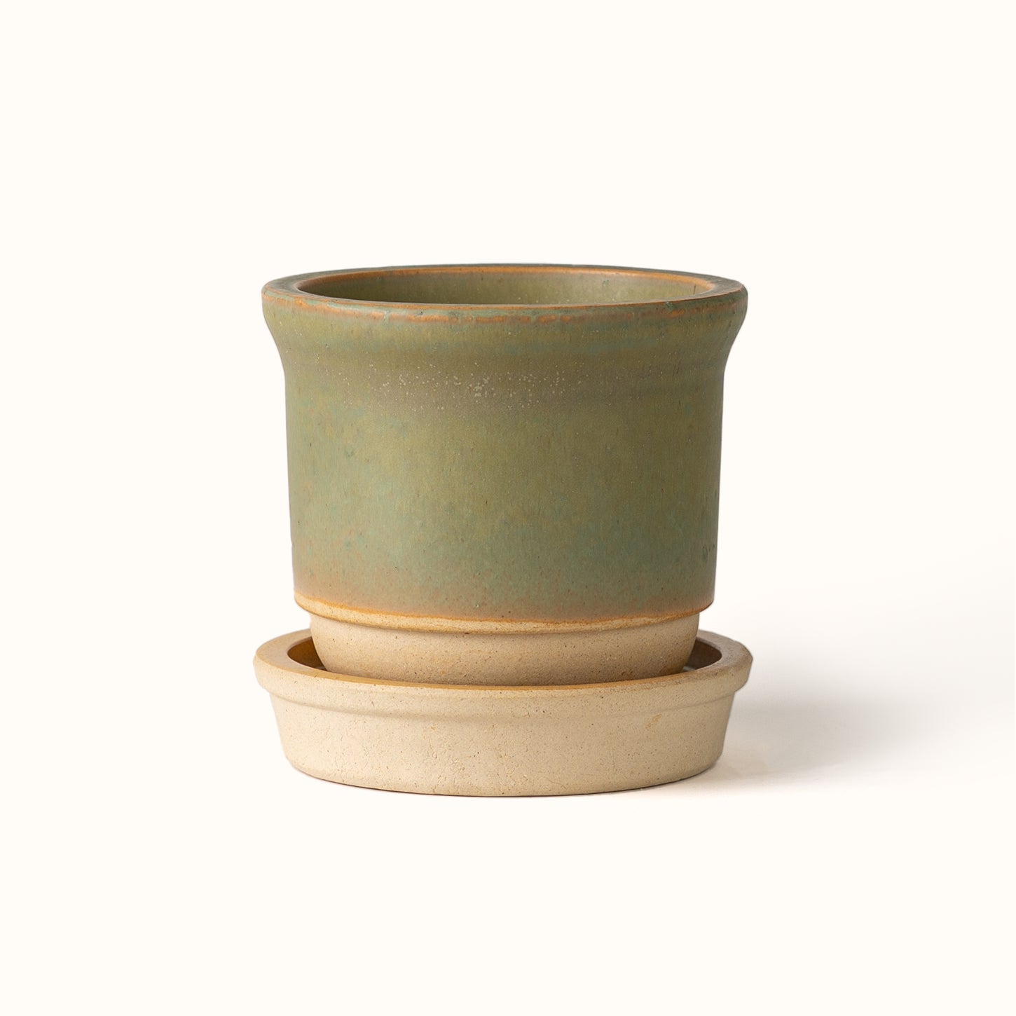 Hazelnut Pot Lichen