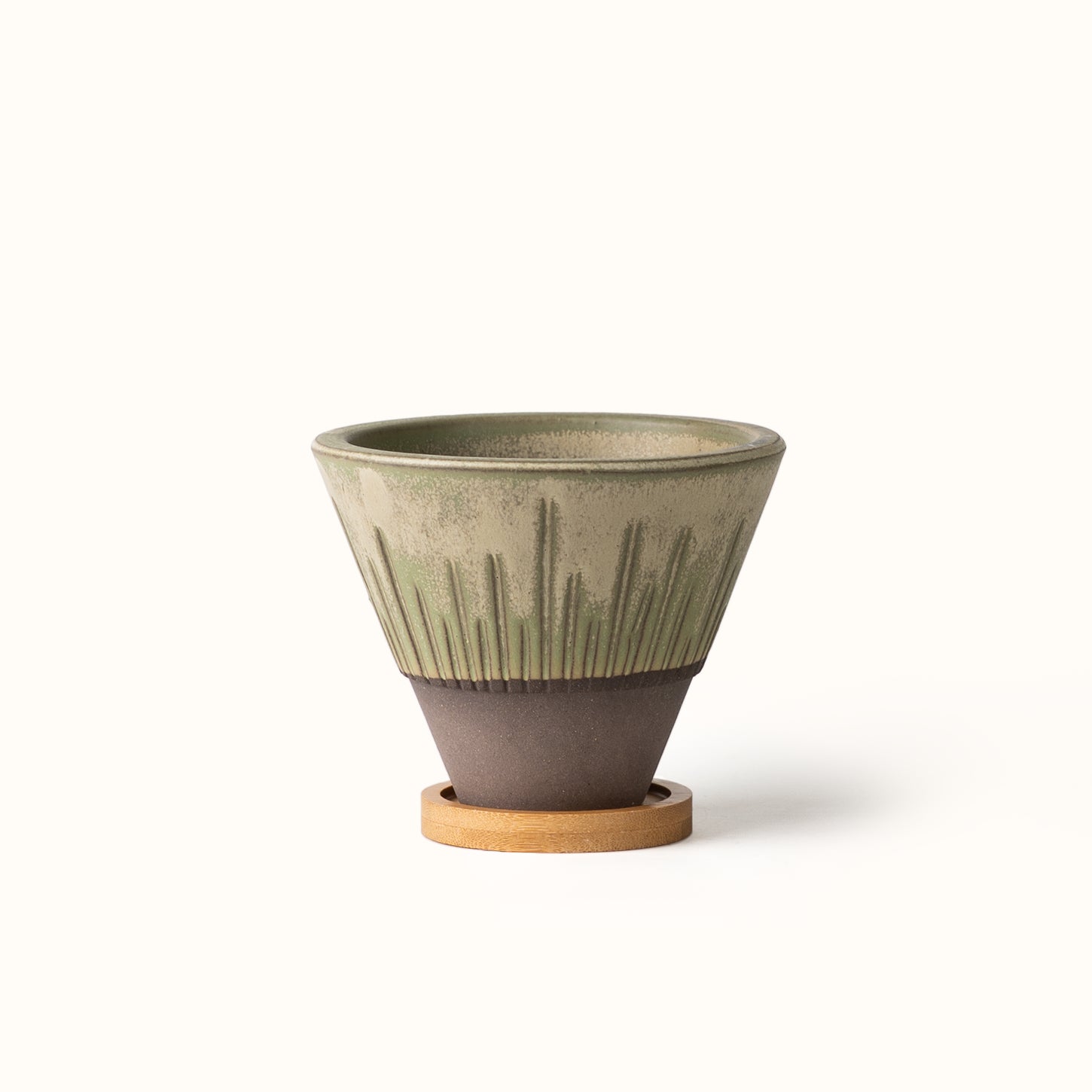 Stellar Pot Moss