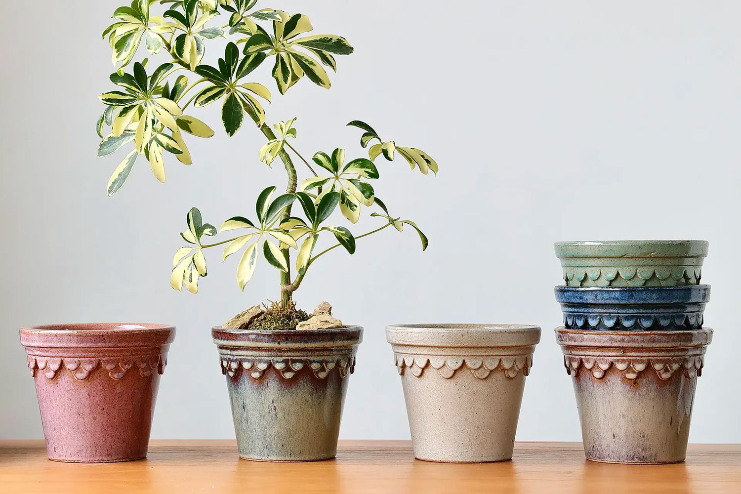 Glazed Pot Bundle
