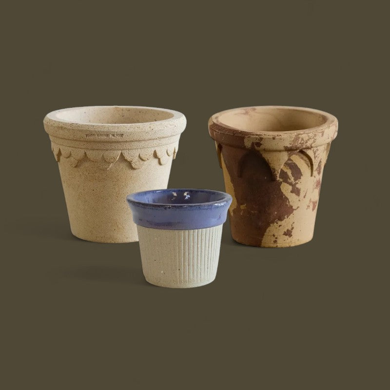 Nipots Customer Favorites Bundle / Mixed / Max Ø16cm / 3pcs