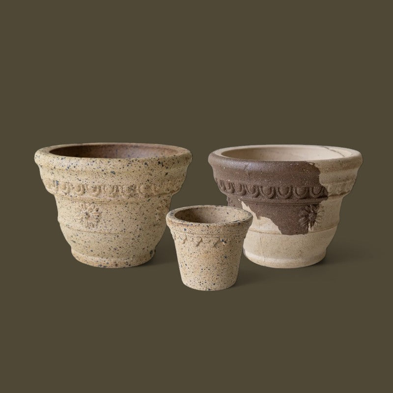 Nipots Customer Favorites Bundle / Mixed / Max Ø18cm / 3pcs