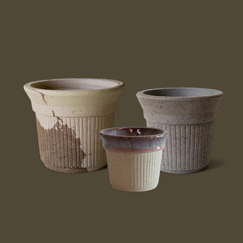 Nipots Customer Favorites Bundle / Mixed / Max Ø20cm / 3pcs