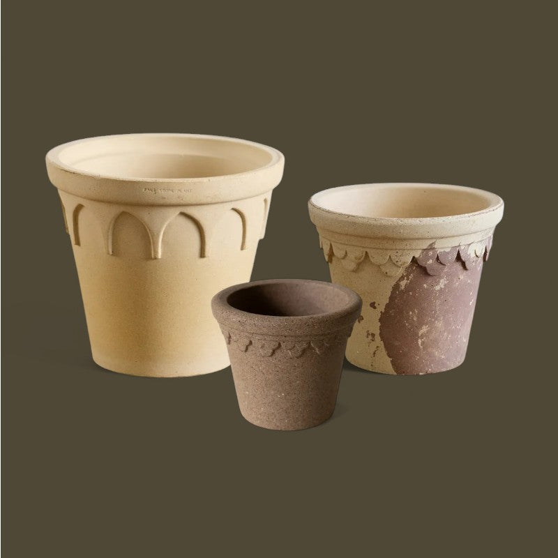 Nipots Customer Favorites Bundle / Mixed / Max Ø20cm / 3pcs