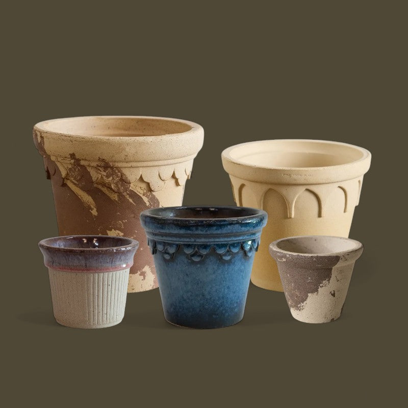 Nipots Customer Favorites Bundle / Mixed / Max Ø23cm / 5pcs