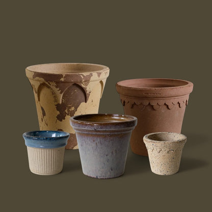 Nipots Customer Favorites Bundle / Mixed / Max Ø23cm / 5pcs