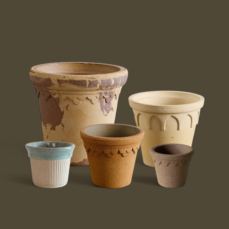 Nipots Customer Favorites Bundle / Mixed / Max Ø26cm / 5pcs