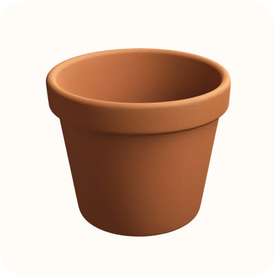 Terracotta Pot