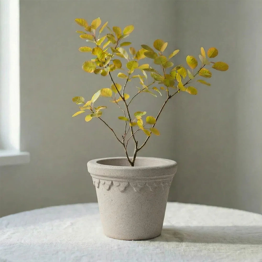 Castle Pot White