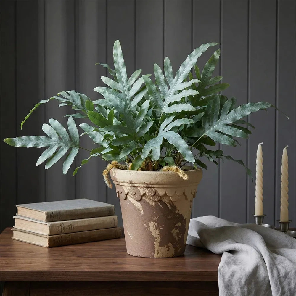 Castle Pot Coffee&amp;Milk