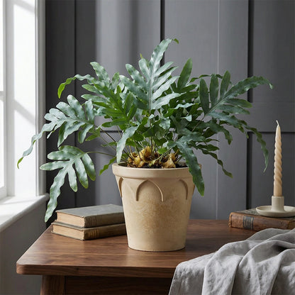 Crown Pot White