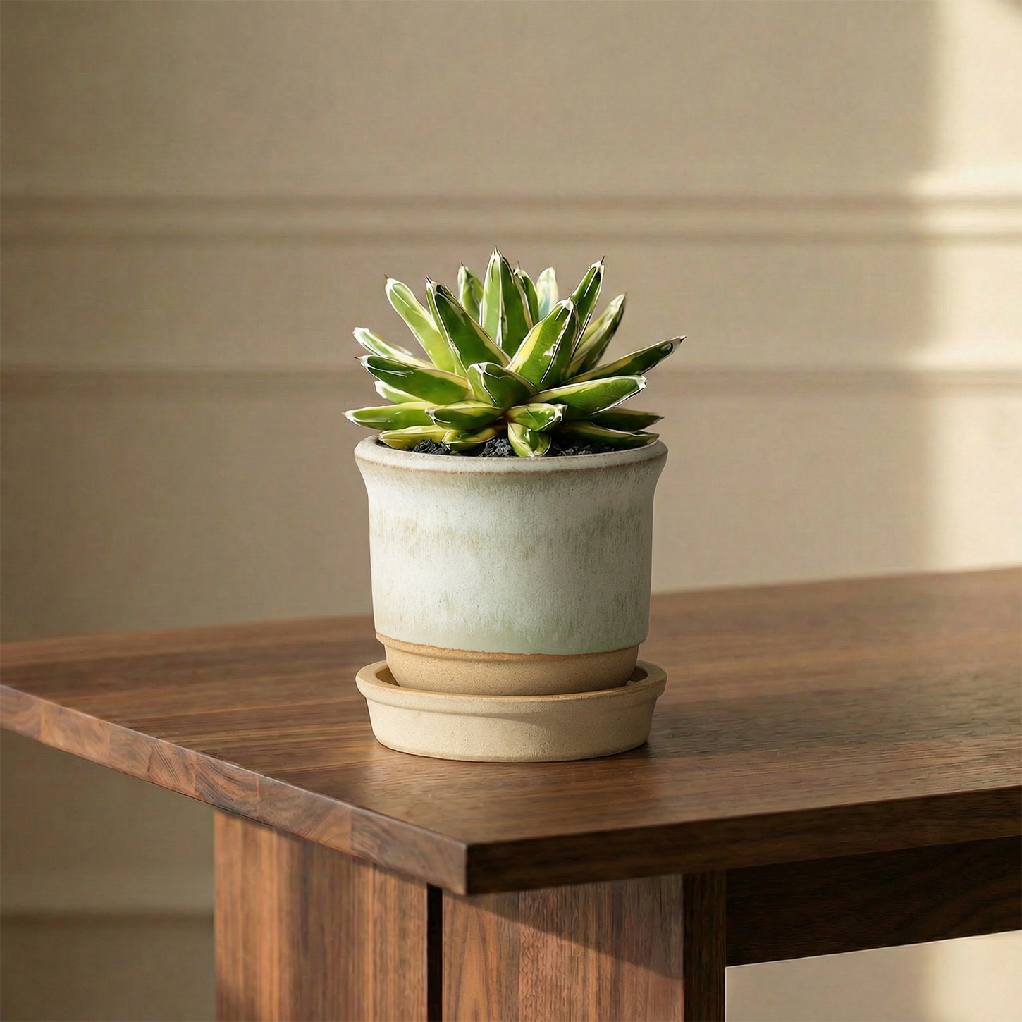 Hazelnut Pot Alabaster