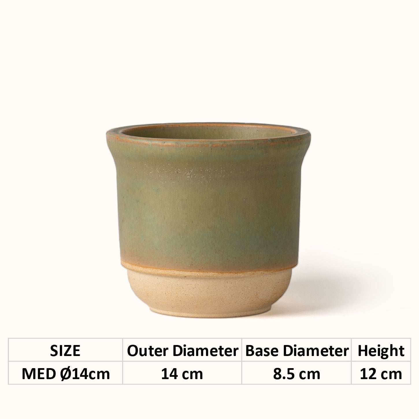 Hazelnut Pot Lichen