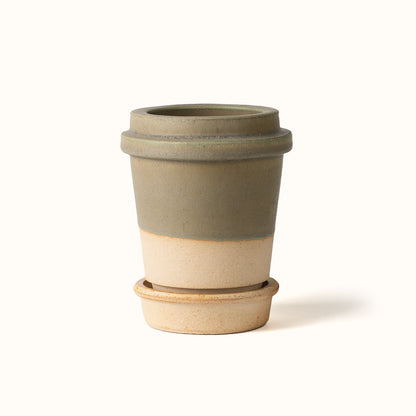 LongBlack Pot Lichen