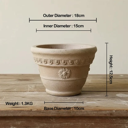 Marguerite Pot White