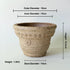 Nipots Handcrafted Terracotta Clay Pot - Marguerite Kiln Effect, Breathable, Absorbent Eco-friendly Planter