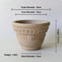 Nipots Handcrafted Terracotta Clay Pot - Marguerite White, Breathable, Absorbent Eco-friendly Planter