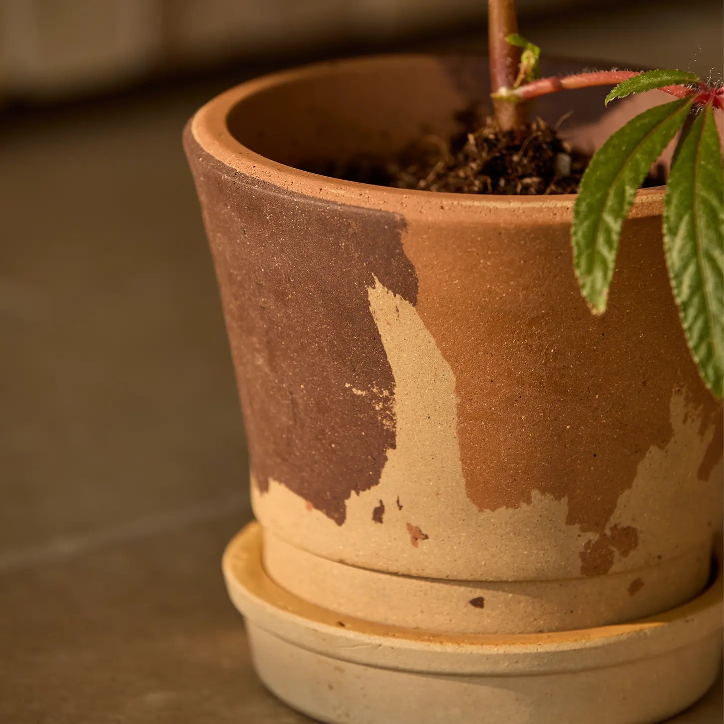 Pudding Pot Calico