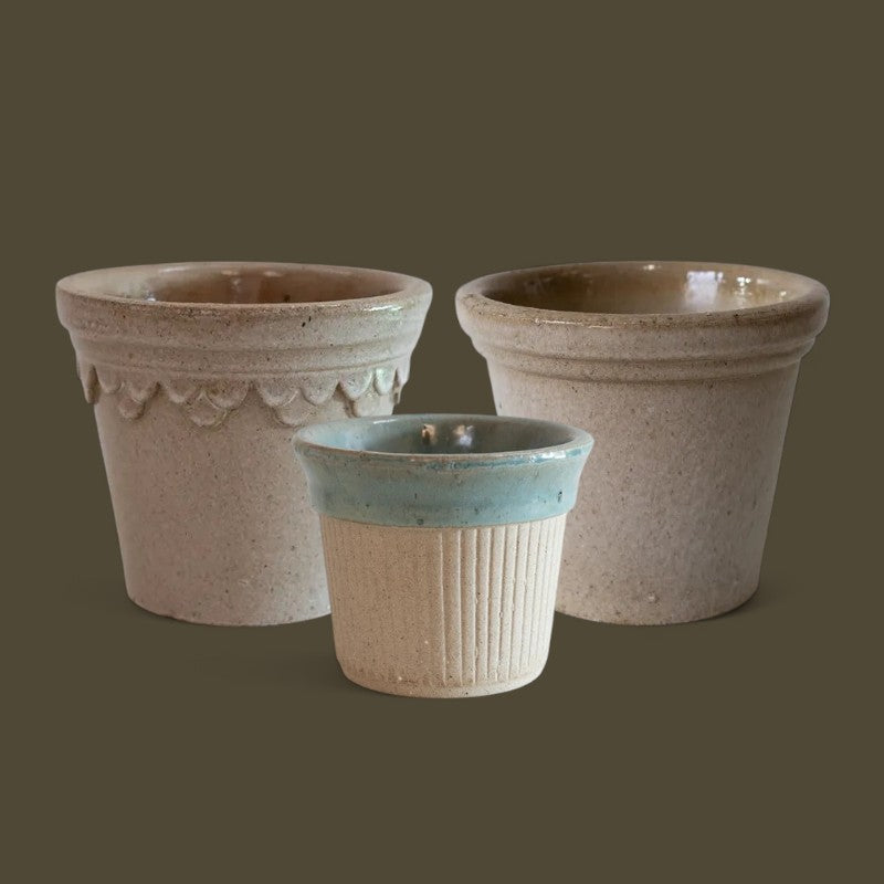 Nipots Customer Favorites Bundle / Glazed / Max Ø16cm / 3pcs