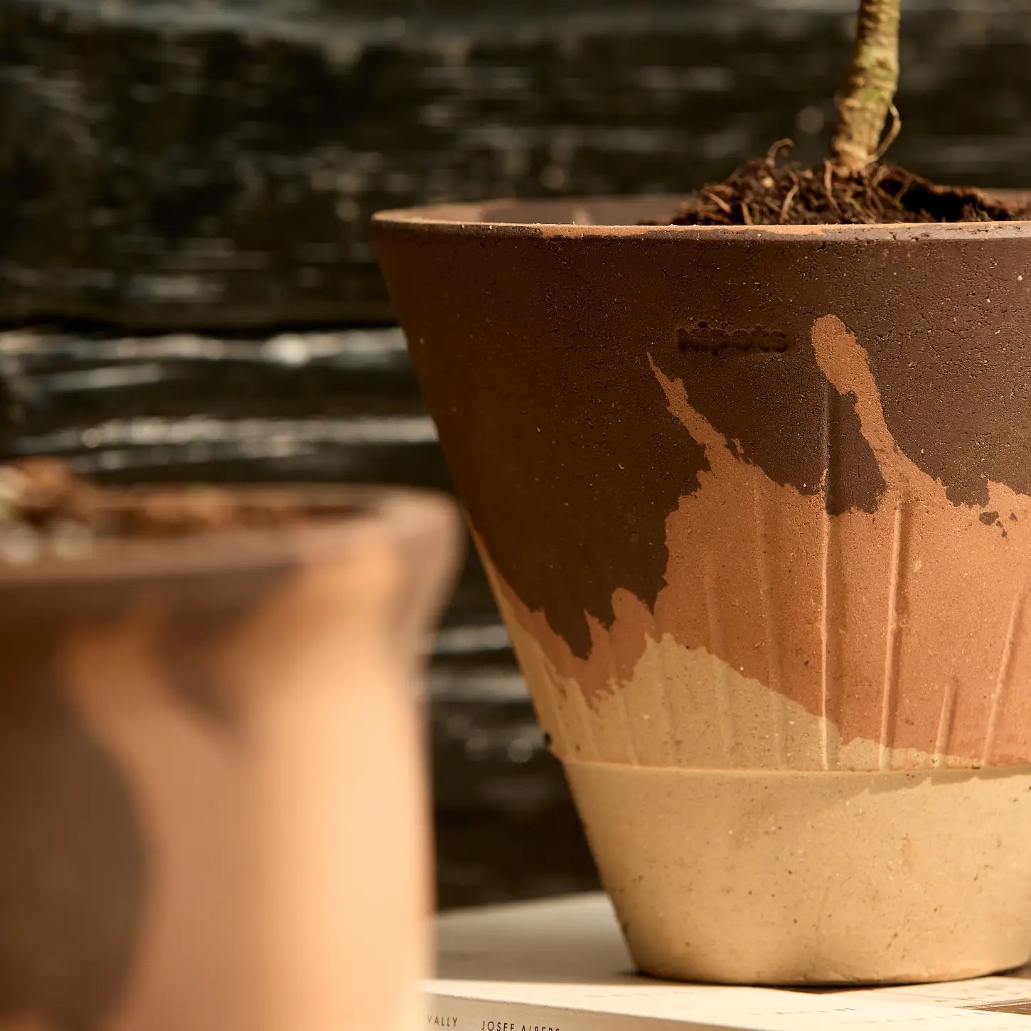 Stellar Pot Calico