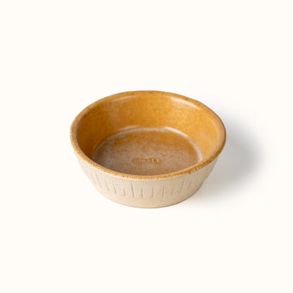 Stellar Saucer White