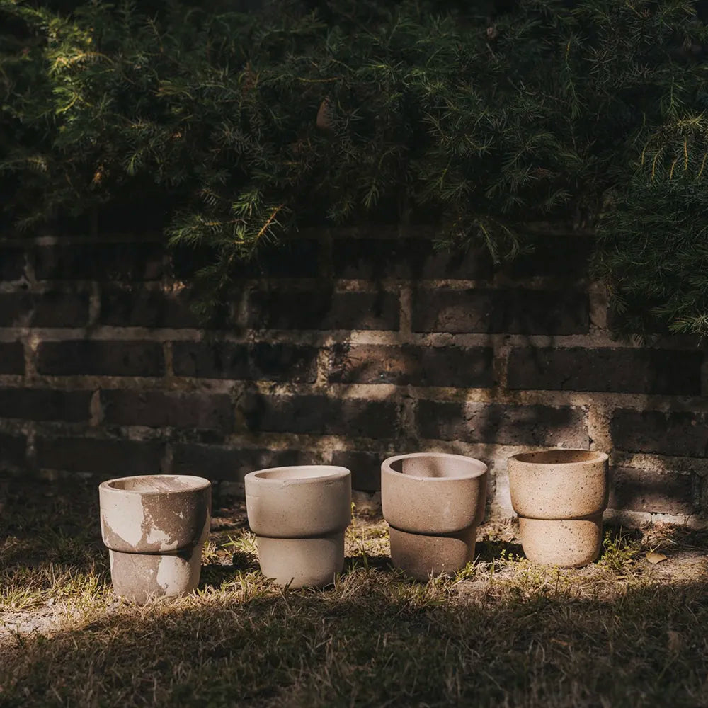 Nipots Terracotta Clay Pot Styled with Indoor Plants – Elegant Home Decor Inspiration