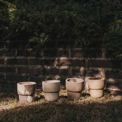 Nipots Terracotta Clay Pot Styled with Indoor Plants – Elegant Home Decor Inspiration